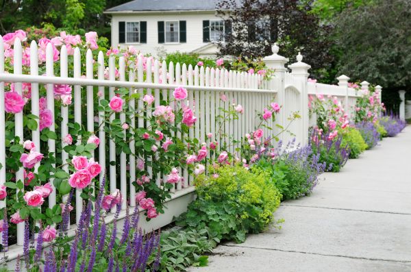 Fence Installation Service
