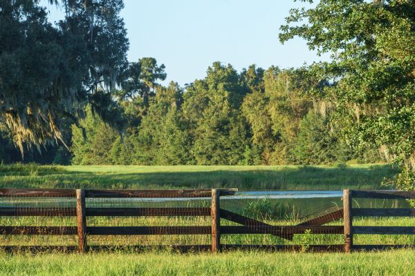 Ranch Fence Repair