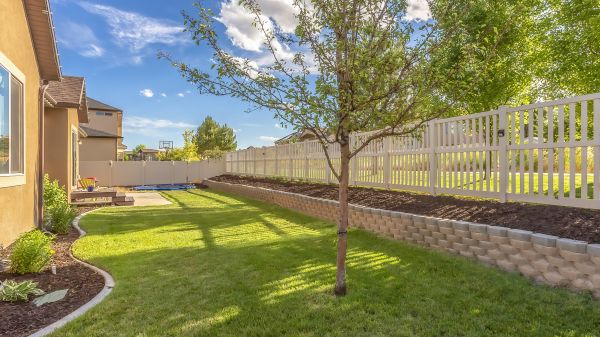 Backyard Fence Building