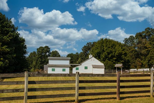 Wood Rail Fence Installation Service