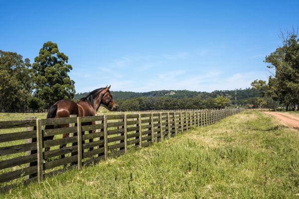 Horse Enclosure Installation Service
