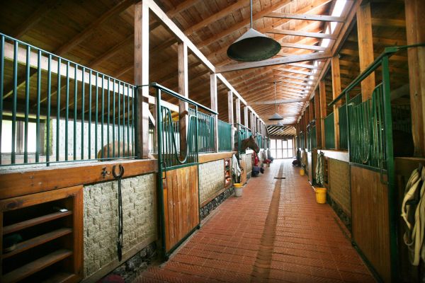 Horse Shelter Construction