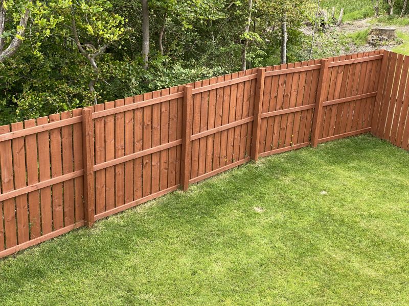Secure Backyard Fence